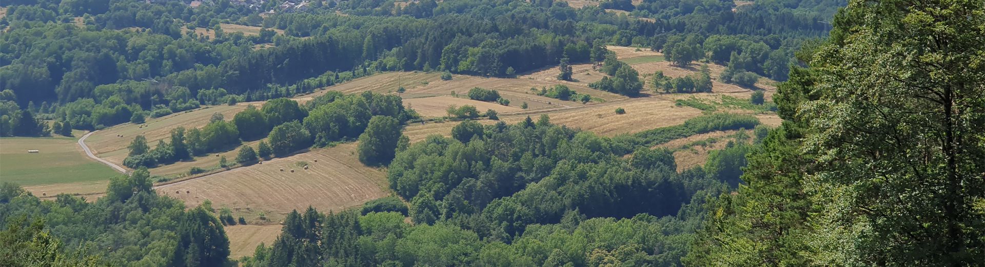Betriebshilfe für Landwirtschafts- und Weinbaubetriebe